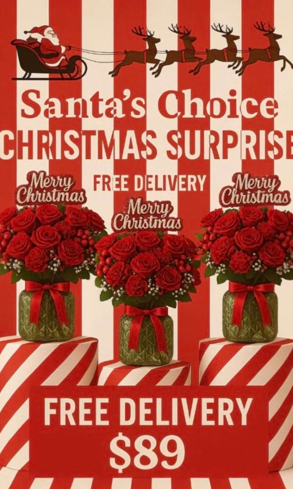 FATHER CHRISTMAS SURPRISE 
