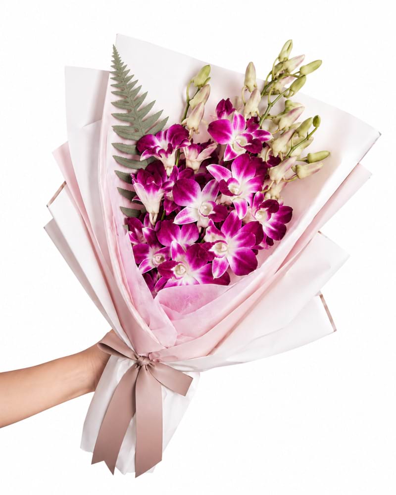 Exotic Tropical Orchids