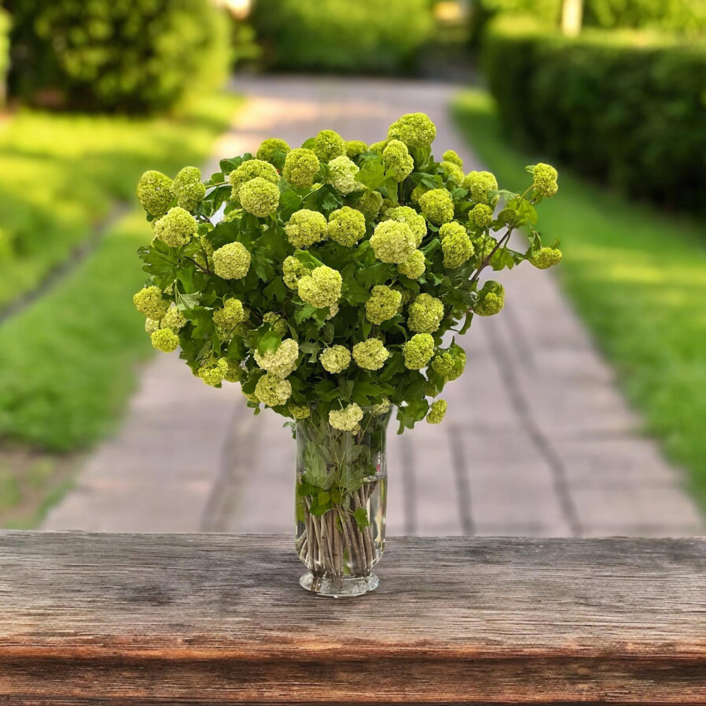 SNOW BALL LUXURY STYLE INCLUDES LOVELY VASE 